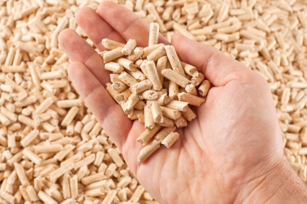 "Hand holding forage pellets for livestock nutrition."