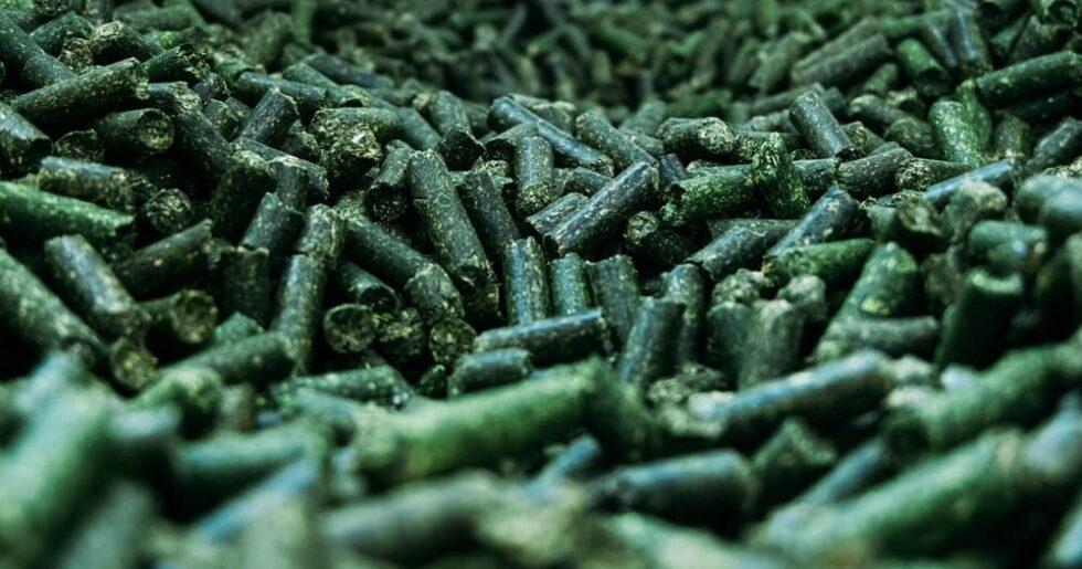 High-quality sun-cured alfalfa pellets used in animal feed formulations.