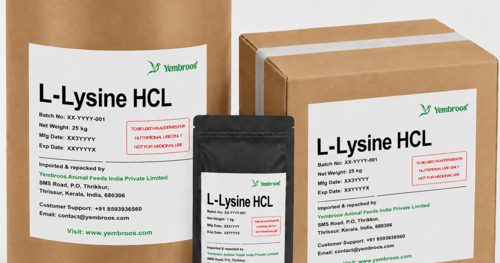 L-Lysine HCL Manufacturer Supplier Exporter and Importer in India | Yembroos Animal Feeds India Pvt Ltd