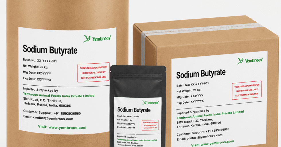 Sodium Butyrate Manufacturer Supplier Exporter and Importer in India | Yembroos Animal Feeds India Pvt Ltd