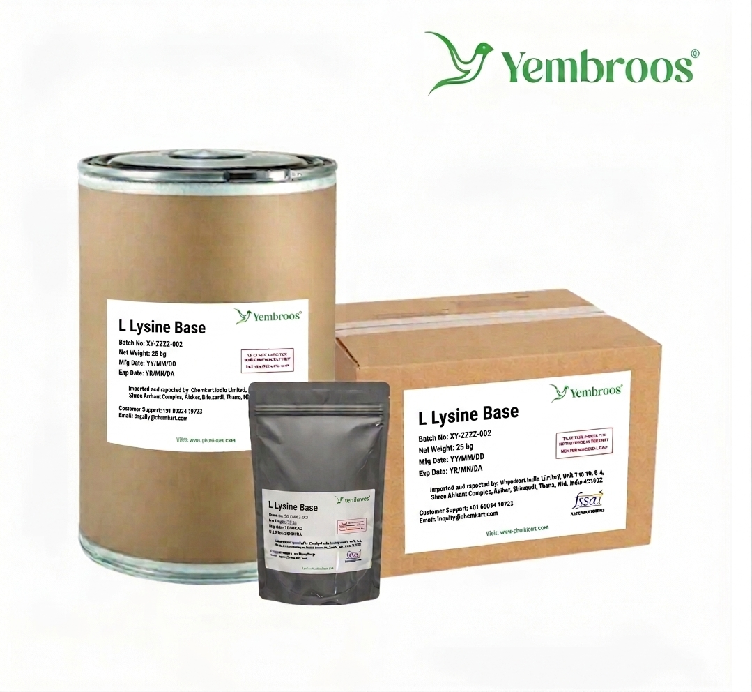 L Lysine Base