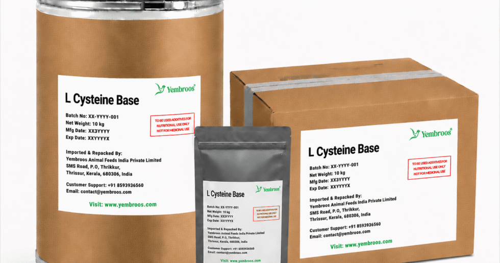 L-Cysteine Base powder manufacturer, exporter, importer and supplier in India by Yembroos Animal Feeds India Private Limited for feed, food, technical, pharmaceutical and nutraceutical applications