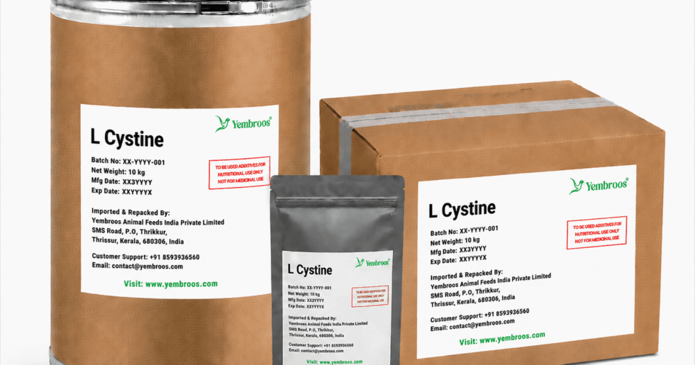 L-Cystine powder manufacturer, exporter, importer and supplier in India by Yembroos Animal Feeds India Private Limited for feed, food, technical, pharmaceutical and nutraceutical applications