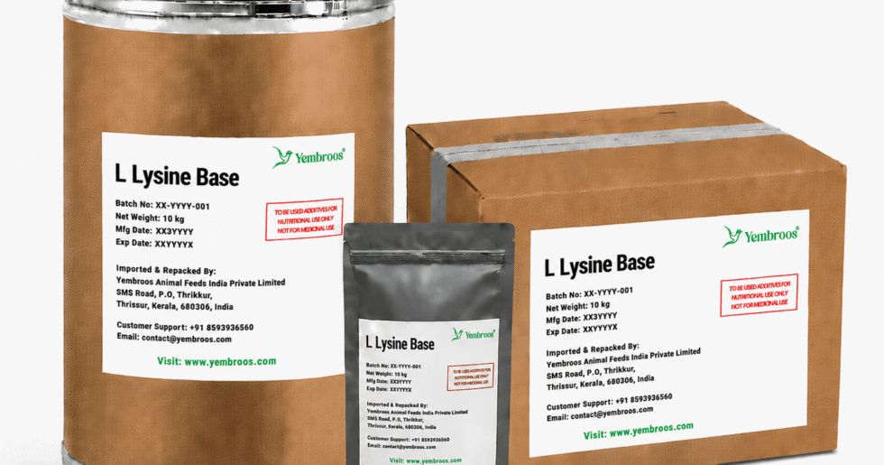 L-Lysine Base powder manufacturer, exporter, importer and supplier in India by Yembroos Animal Feeds India Private Limited for feed, food, technical, pharmaceutical and nutraceutical applications