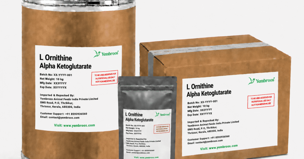 L-Ornithine Alpha Ketoglutarate powder manufacturer, exporter, importer and supplier in India by Yembroos Animal Feeds India Private Limited for feed, food, technical, pharmaceutical and nutraceutical applications