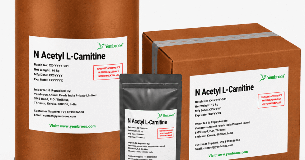 N-Acetyl L-Carnitine powder manufacturer, exporter, importer and supplier in India by Yembroos Animal Feeds India Private Limited for feed, food, technical, pharmaceutical and nutraceutical applications